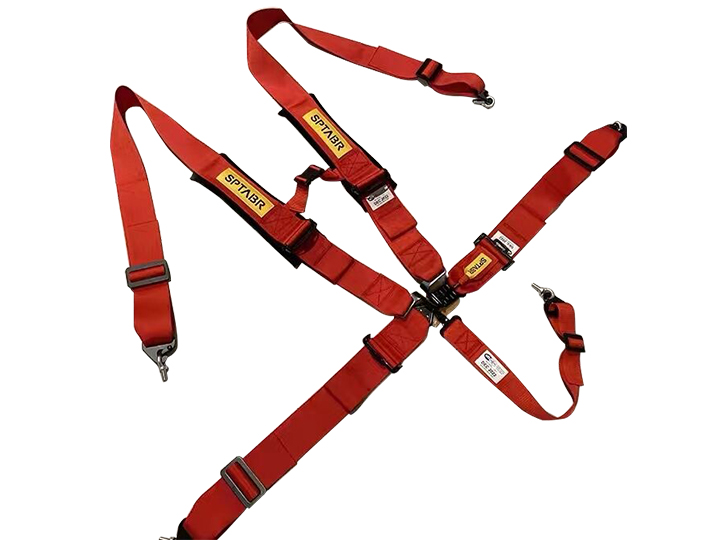 Seat Belt （5 points）